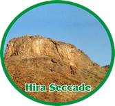 Hiraseccade